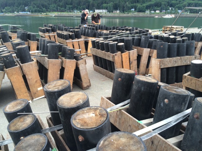 Volunteers with the Juneau Festival Association are preparing launching tubes for this Friday's fireworks display. (Photo by Matt Miller/KTOO)